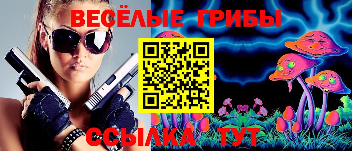 Псилоцибиновые грибы GOLDEN TEACHER Качканар
