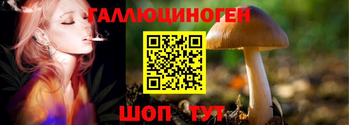 Галлюциногенные грибы мицелий  Галлюциногенные грибы Psilocybe  Качканар  Вход с VPN 